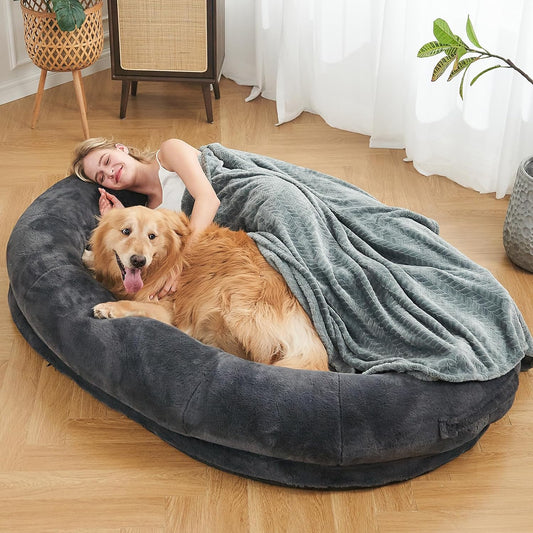 Luxury Companion Cloud Bed